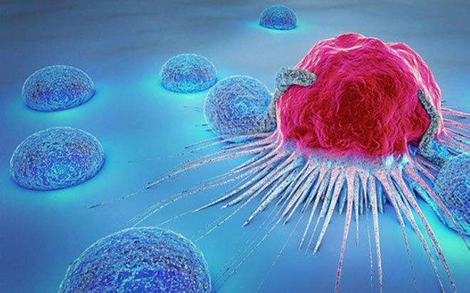 Nano Fucomin: Bước đột phá mới của Học Viện Quân Y dành cho người bệnh u bướu - 1